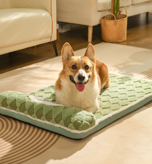 Thickened Soft Pet Bed Mat XL Size Light Green Extra Large Dog Sleeping Pad Washable Cushion for Large Breeds and Multi-Pet Use All Season