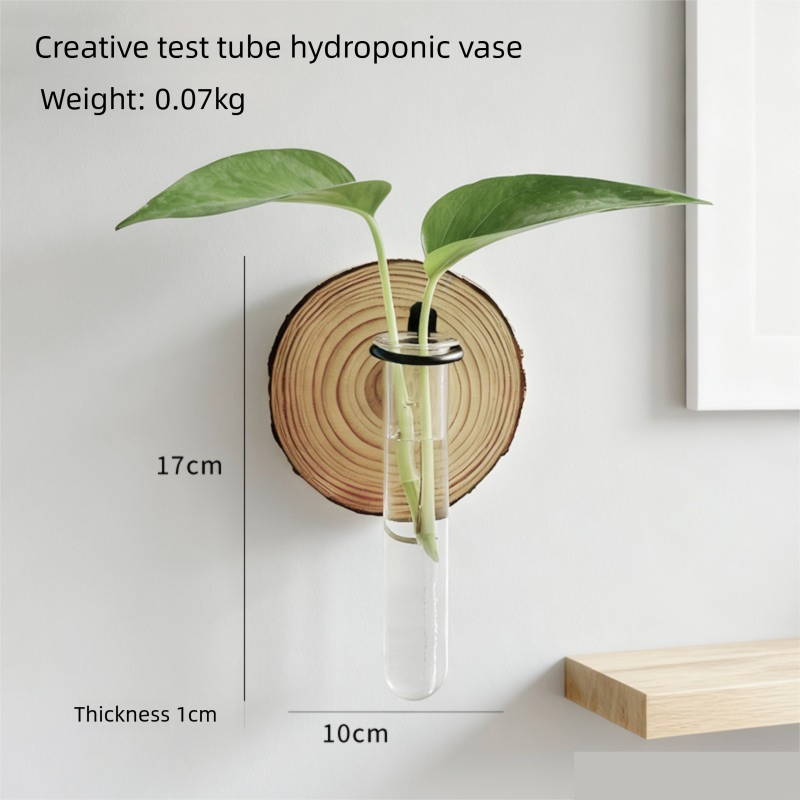 Wall-Mounted Hydroponic Plant Test TubeFlower Pot for Indoor Plants & Cuttings
