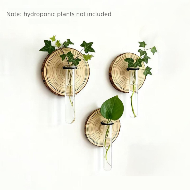 3-Pack Wall-Mounted Hydroponic Plant Test TubeFlower Pot for Indoor Plants &amp; Cuttings