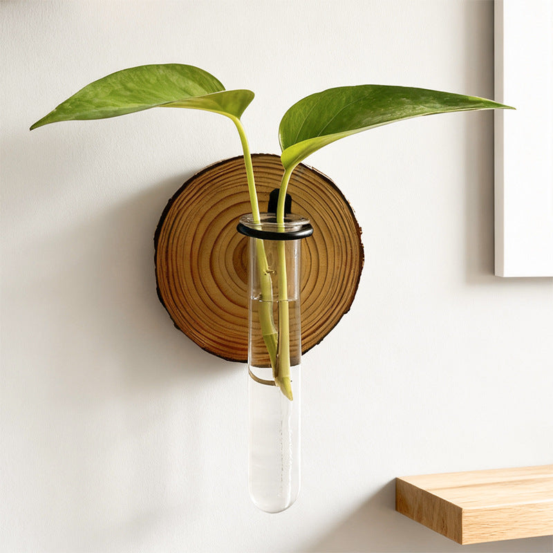 3-Pack Wall-Mounted Hydroponic Plant Test TubeFlower Pot for Indoor Plants & Cuttings