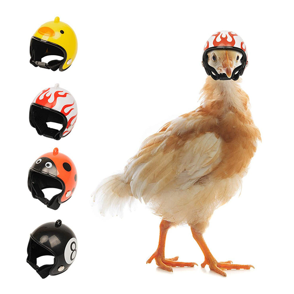 Yellow Pet Chicken Helmet Set of 3 – Protective Headgear for Chicks, Hens, and Birds