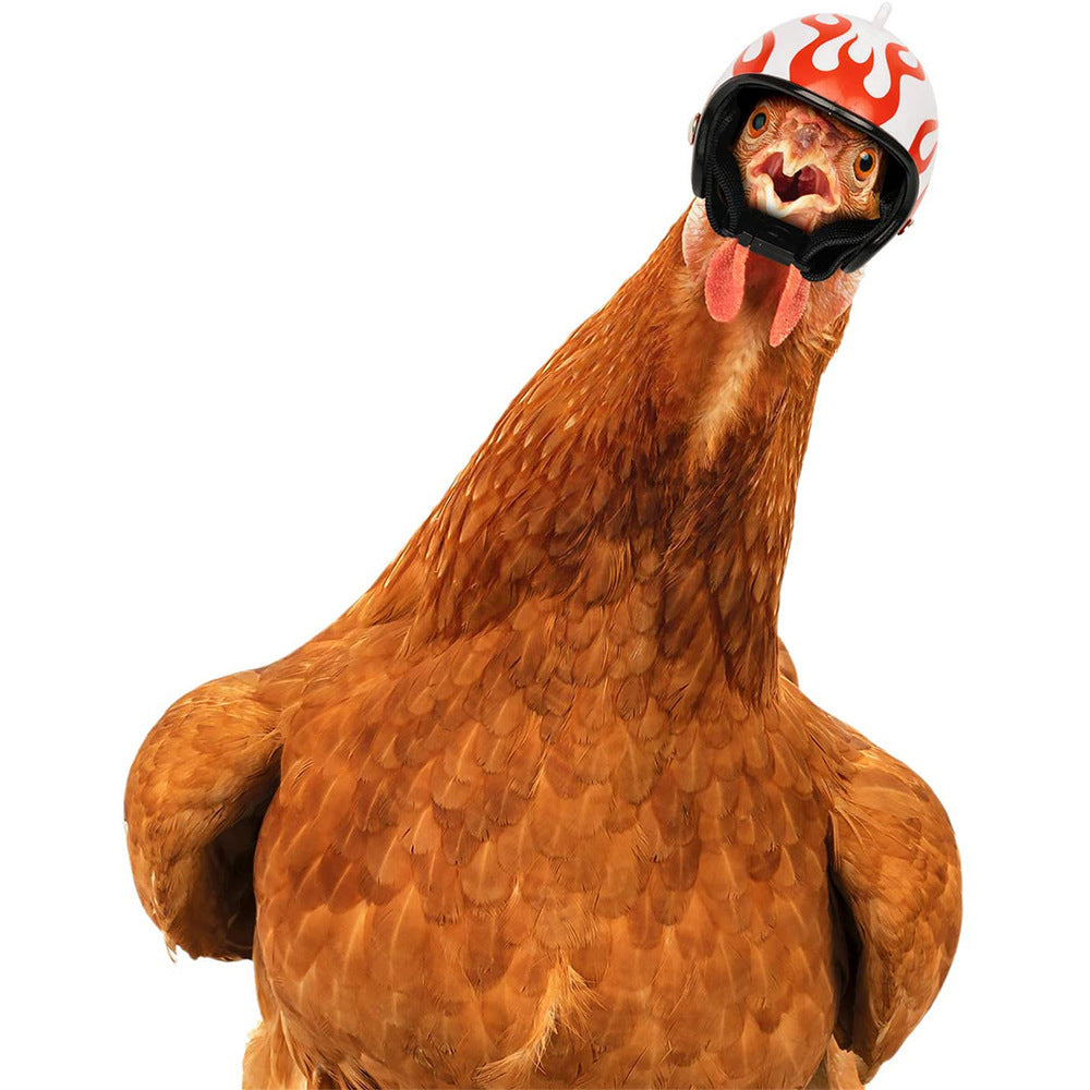 Camouflage Pet Chicken Helmet Set of 3 – Protective Headgear for Chicks, Hens, and Birds