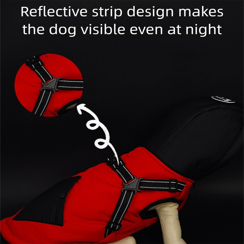 Green Thickened Winter Dog Coat with Reflective Strips – Waterproof, Windproof Pet Jacket for Small to Medium Dogs, Adjustable Fit with Detachable Leash Hook and Decorative Velcro Patch(Size: S)