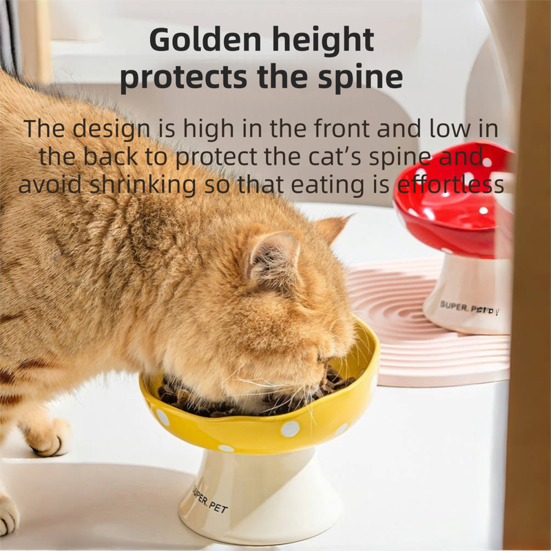 Red Elevated 15° Tilted Ceramic Cat Bowl - Anti-Chin Acne Glaze Finish, Non-Slip Weighted Base & Neck Protection Pet Feeder