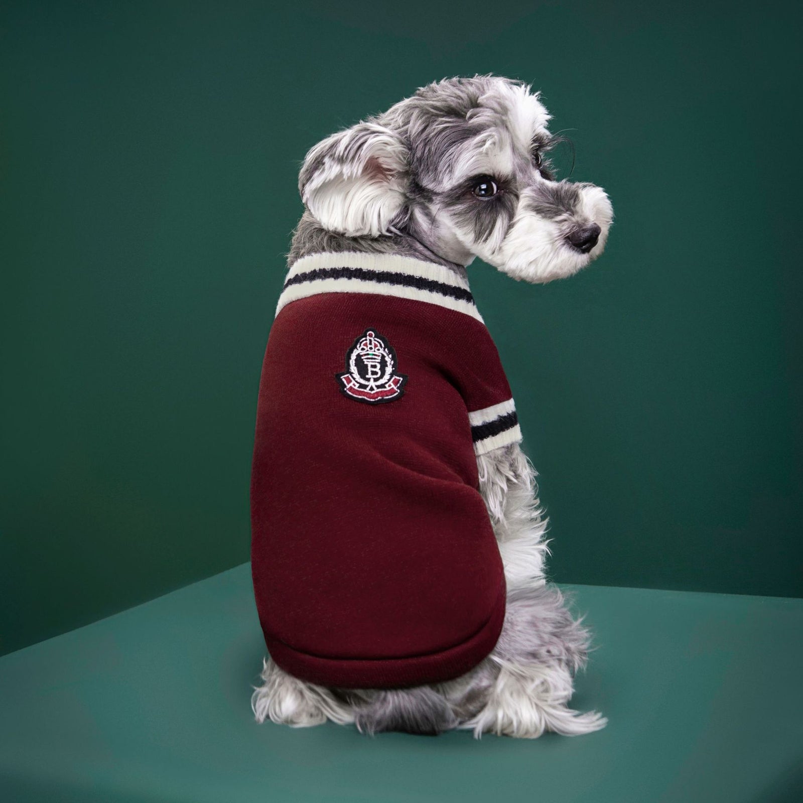 4-Pack S Size Preppy Style V-Neck Knitted Cotton Pet Sweater - Hair-Resistant & Breathable, Classic Fleece-Lined Pullover for Cats and Dogs(Green + Red + Khaki + Grey)