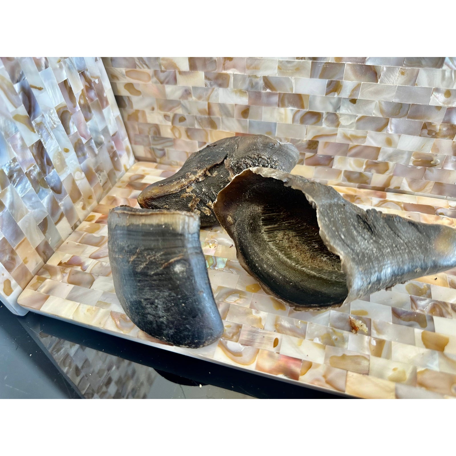 Just Cow Hooves