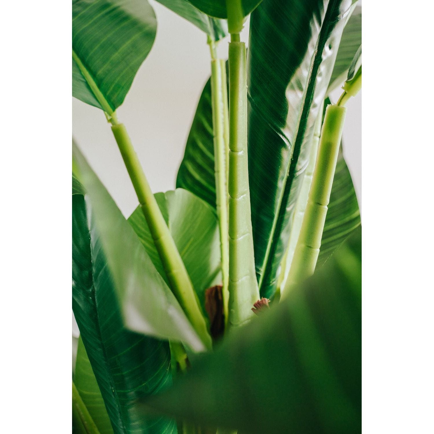 180cm Banana Tree - Artificial Plant, Home Decor Flora