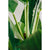 180cm Banana Tree - Artificial Plant, Home Decor Flora