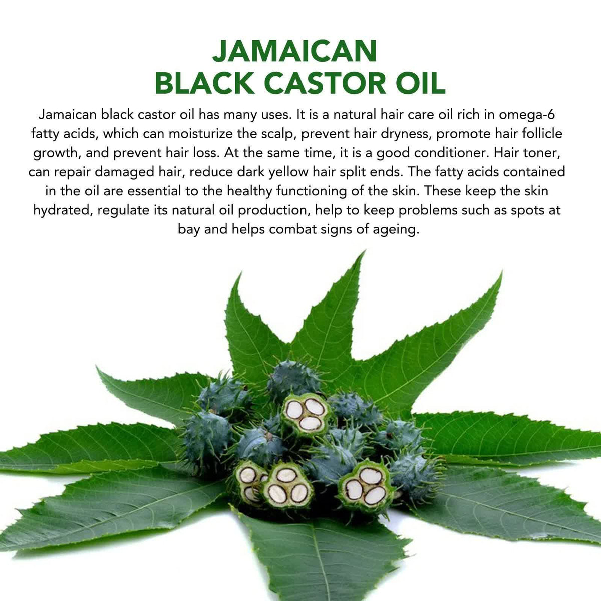 Black Castor Oil (2.02 fl oz), Jamaican Organic Regrowth Treatments