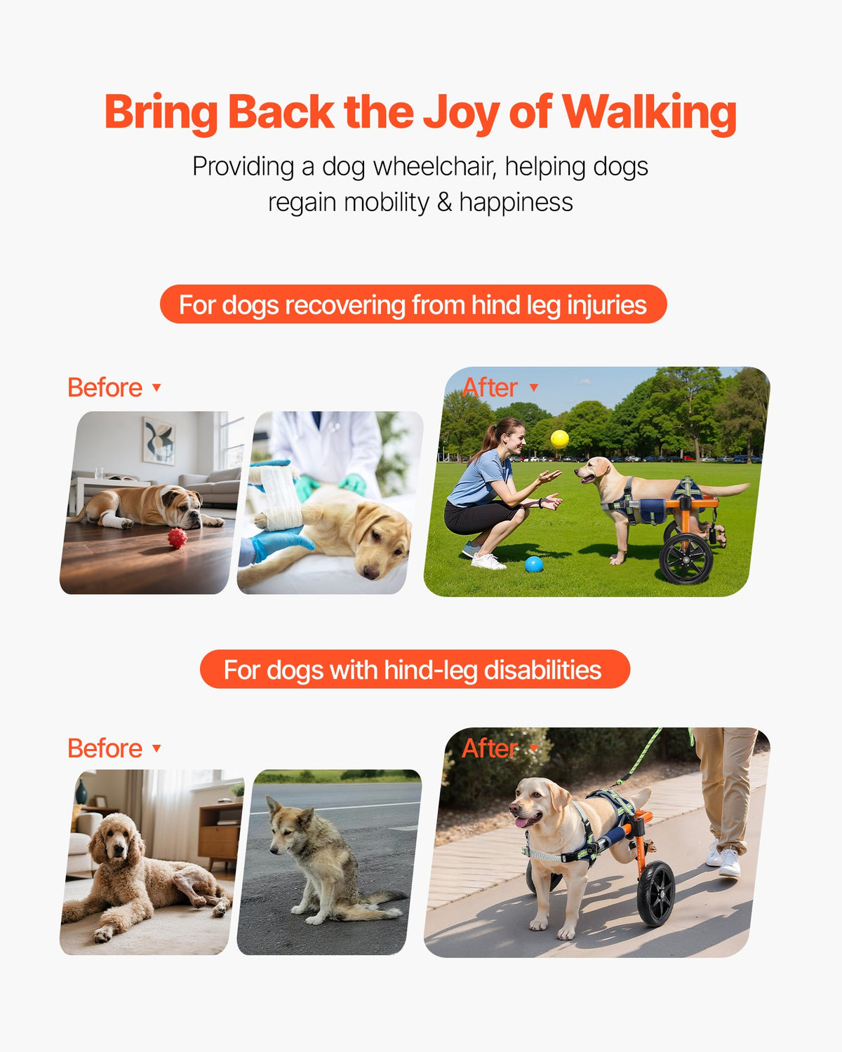 VEVOR Dog Wheelchair for Back Legs, Lightweight 2 Wheels Pet Wheelchair, Height, Width & Length Adjustable, Dog Cart with Shock-Absorbing Wheels, for Injured, Disabled Dogs 15.8-21.7 kg, Medium