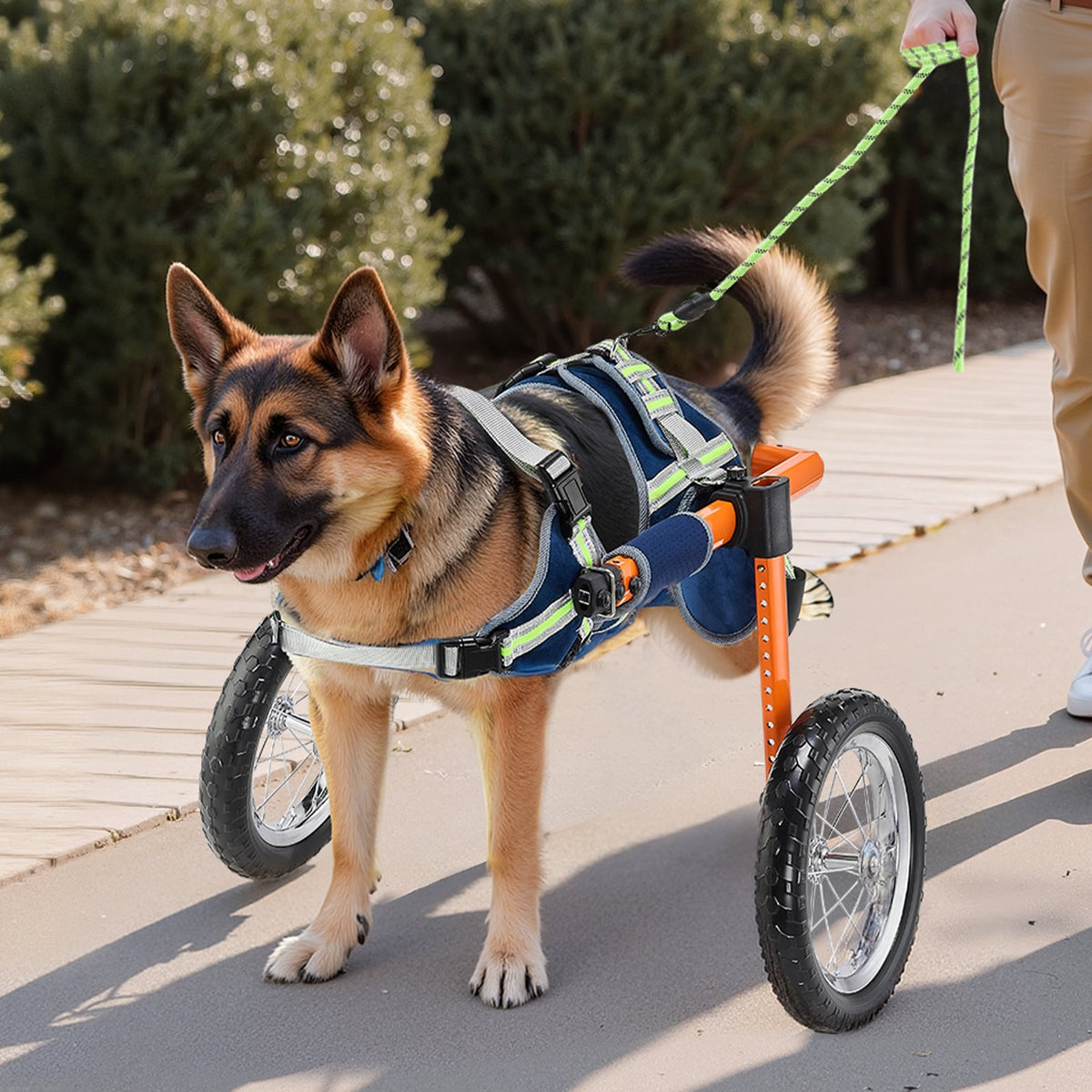 VEVOR Dog Wheelchair for Back Legs, Lightweight 2 Wheels Pet Wheelchair, Height, Width & Length Adjustable, Dog Cart with Shock-Absorbing Wheels, for Injured, Disabled Dogs 21.7-39.9 kg, Large