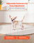 VEVOR Disposable Male Dog Diapers, Super Absorbent Male Dog Wraps, 360 ° Leak-Proof Belly Bands with Wetness Indicator for Doggies in Heat, Training, Incontinence - XS, 96 Count (2 Packs of 48)