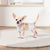 VEVOR Disposable Male Dog Diapers, Super Absorbent Male Dog Wraps, 360 ° Leak-Proof Belly Bands with Wetness Indicator for Doggies in Heat, Training, Incontinence - XS, 96 Count (2 Packs of 48)