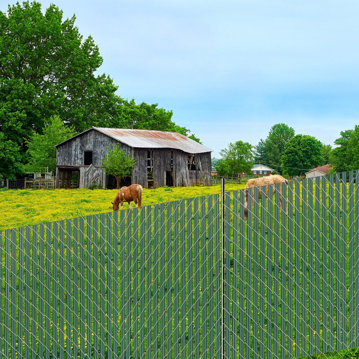 Bottom Locking Privacy Slats, Single-Wall Vertical Bottom-Locking Slats for Chain-Link Fence, High-Density HDPE Chain Link Slats Ideally Fit 1.5 m High Fence for Garden Farm Sports Field(Green)