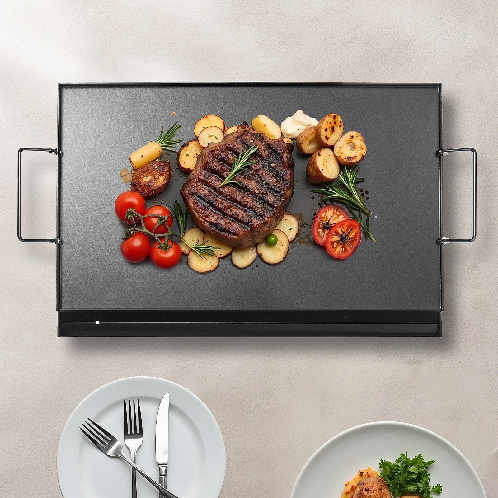 VEVOR Carbon Steel Griddle, 24x16 inch Universal Flat Top Rectangular Plate, Gas Grill Griddle for BBQ Grill, Teppanyaki, Portable Family Cookware with Handle, for Camping Tailgating Party