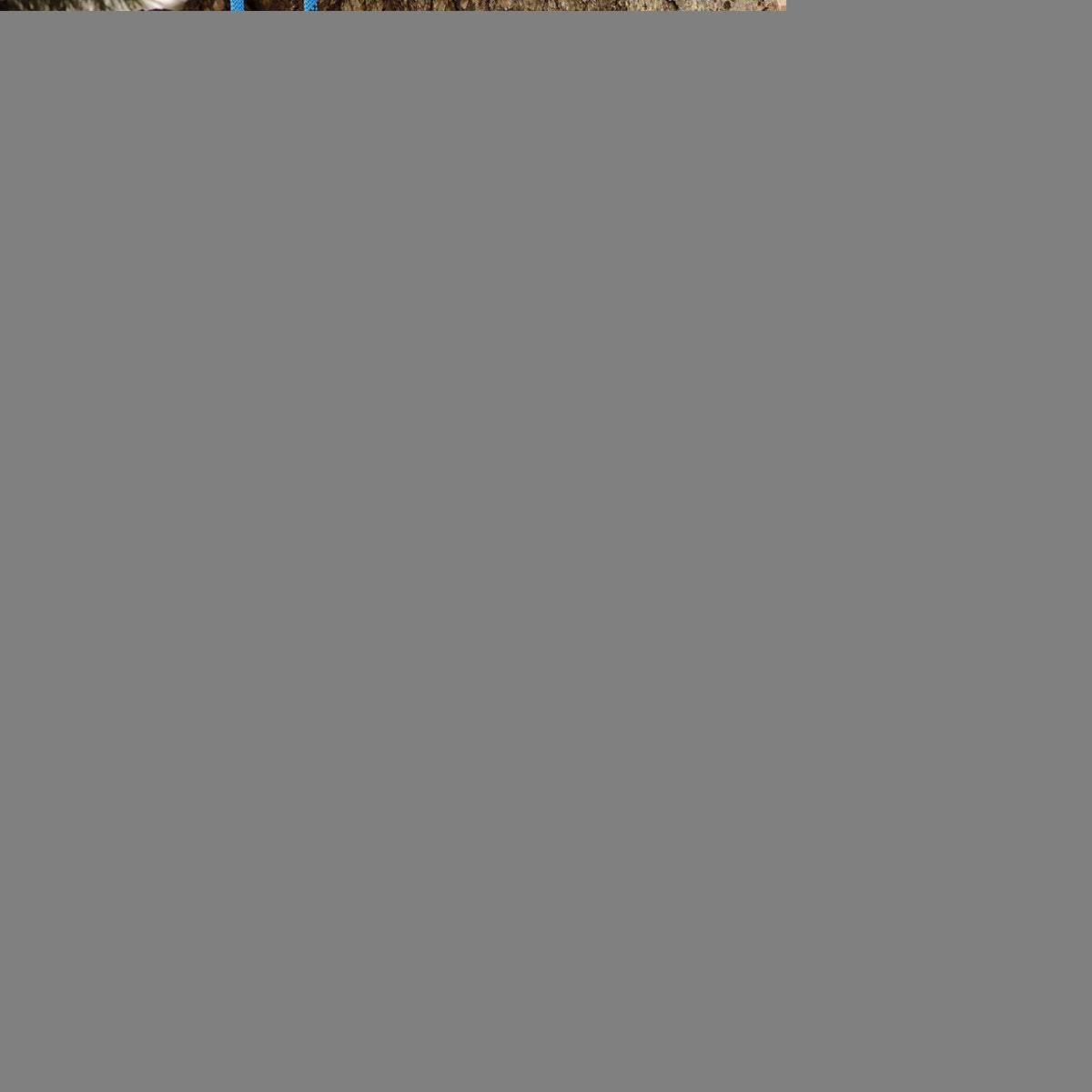 VEVOR 12.7mm Static Climbing Rope 38M(125ft) Outdoor Rock Climbing Rope Blue