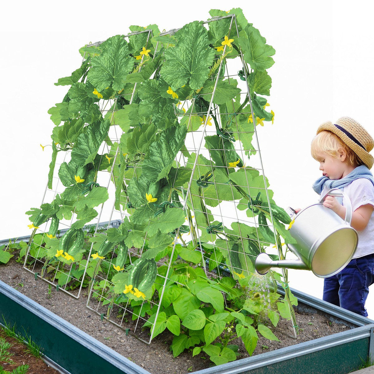 Cucumber Trellis for Climbing Plants, 35" x 55" Foldable Cucumber Trellis Set with Plant Clips, Metal Garden Trellis for Raised Bed, Outdoor Plant Grow Support for Tomato, Squash, Vegetable