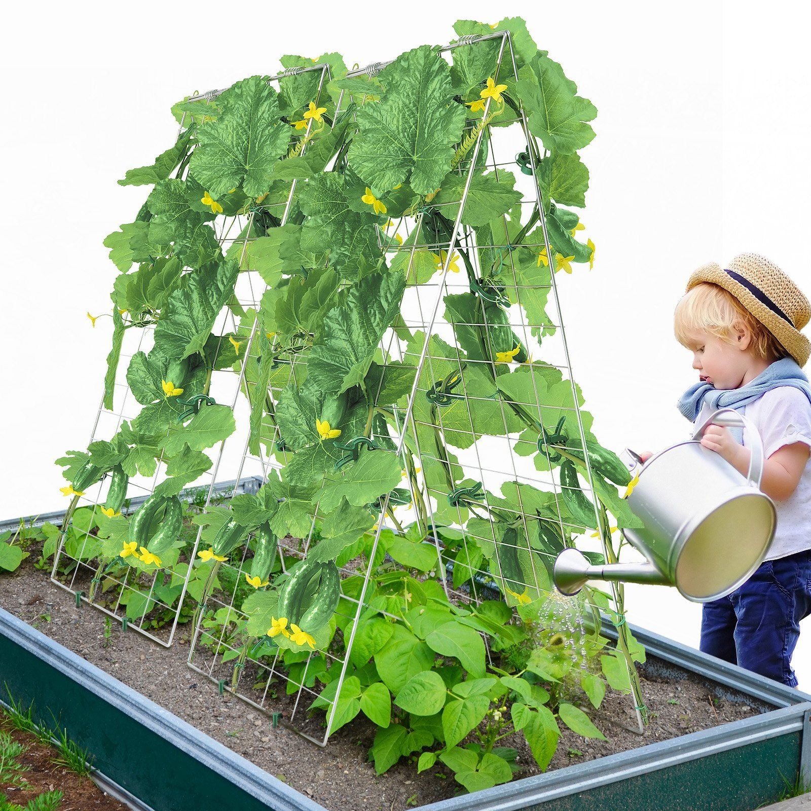 Cucumber Trellis for Climbing Plants, 35" x 55" Foldable Cucumber Trellis Set with Plant Clips, Metal Garden Trellis for Raised Bed, Outdoor Plant Grow Support for Tomato, Squash, Vegetable