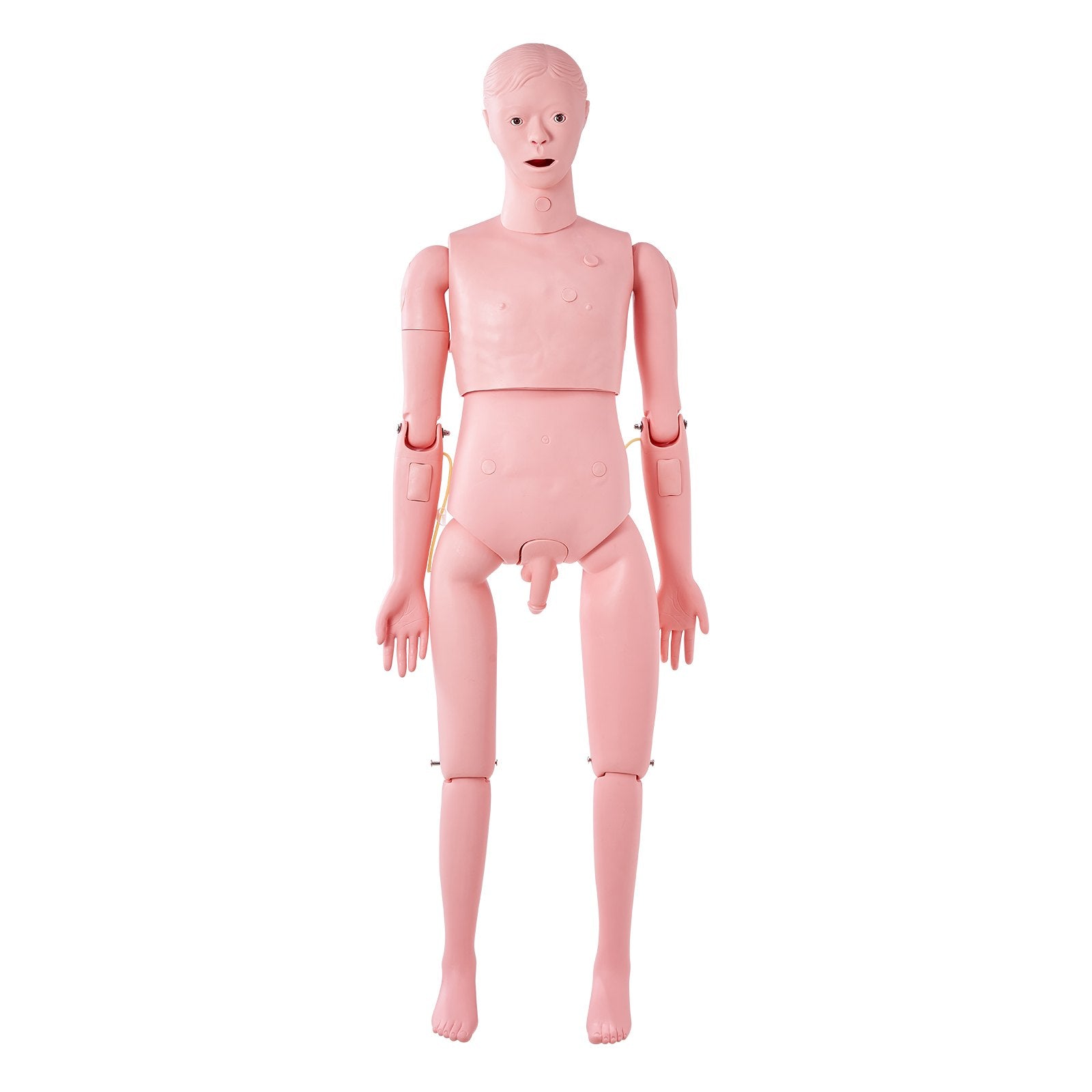 VEVOR Nursing Training Manikin, Male Life Size Demonstration Human Manikin for Nursing Training, Multifunctional Education Teaching Model Supplies, PVC Anatomical Mannequin Body Care Simulator Model