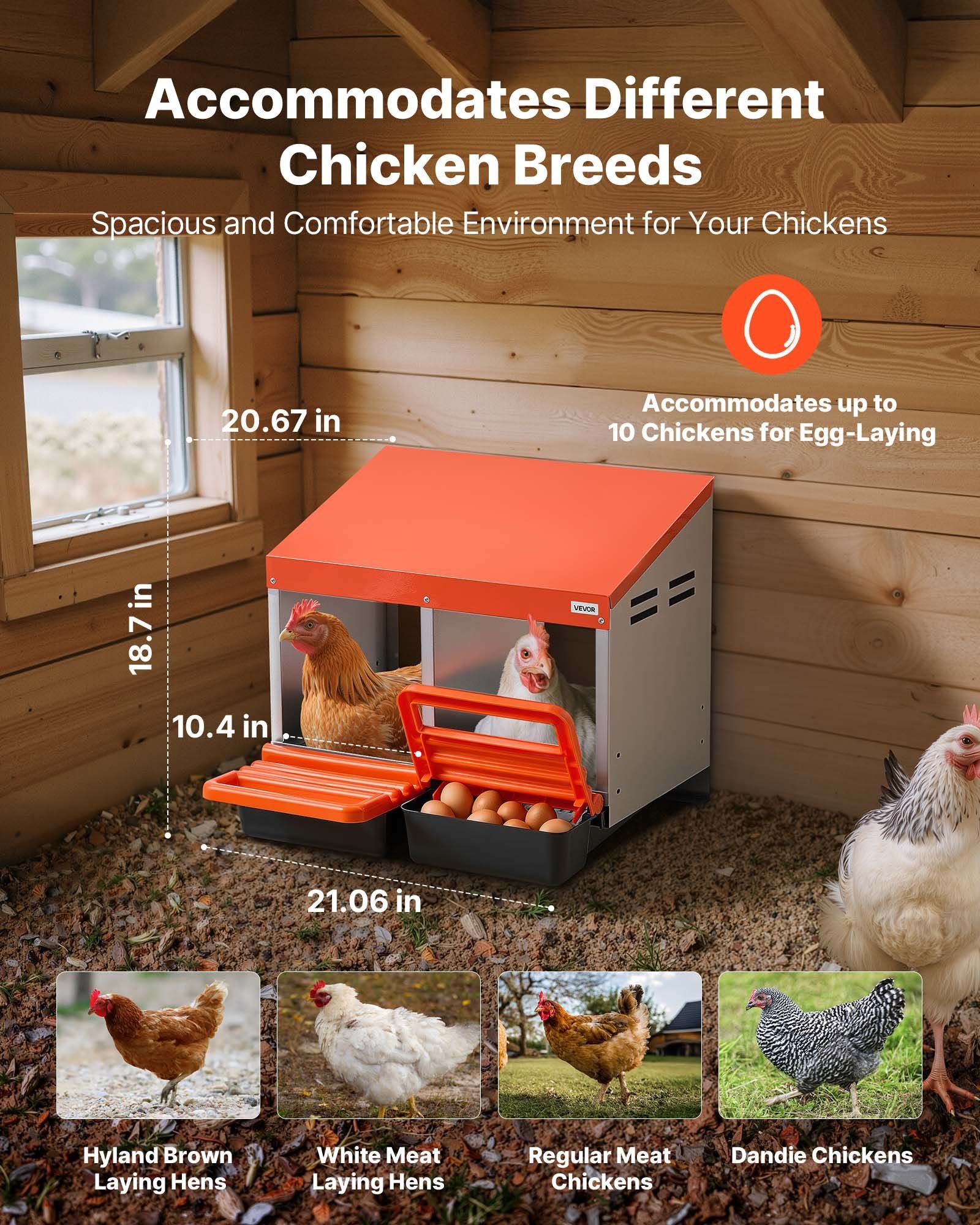 Chicken Nesting Boxes, 2 Compartments, Easy Egg Collection, Wall Mount, Easy to Assemble, Galvanized Steel and High-Strength Plastic, Roll Away Nesting Boxes for Chickens Laying Eggs, Orange