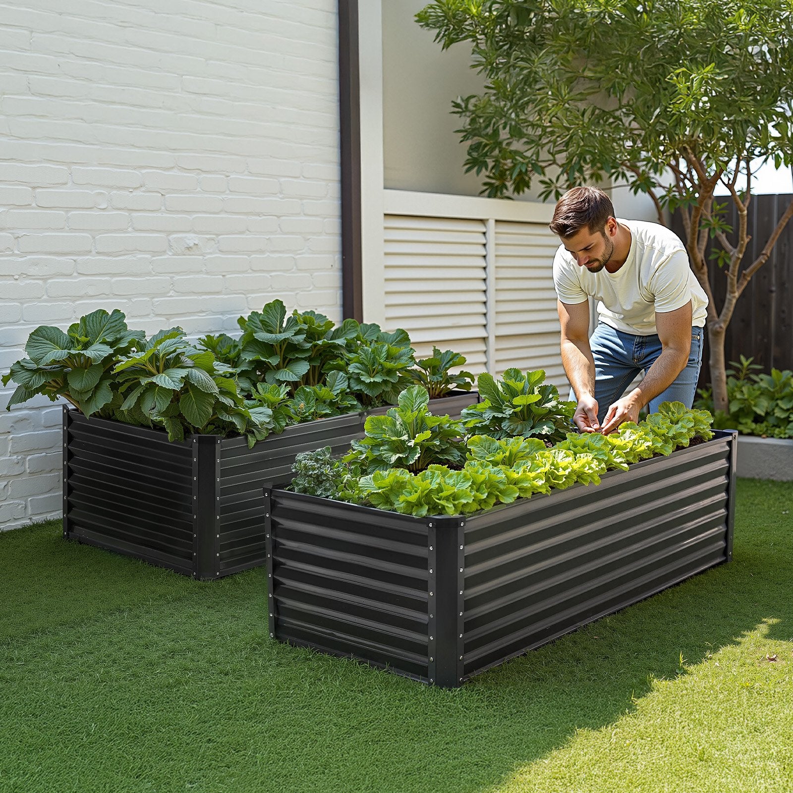 VEVOR Metal Raised Garden Bed, 6 x 3 x 2 ft Outdoor Galvanized Planter Box, with Open Bottom, Large Planter Raised Bed for Gardening Vegetables, Flowers, Herbs, and Succulent Plants, Dark Gray