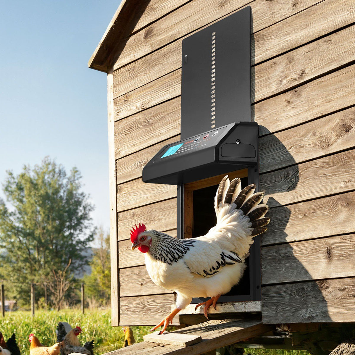 Automatic Chicken Coop Door, Battery Powered Chicken Coop Door with Timer & Manual Setting, Anti-Pinch Security, Durable Aluminum Alloy, Auto Chick Run Gate Opener with Waterproof Sealing, Black