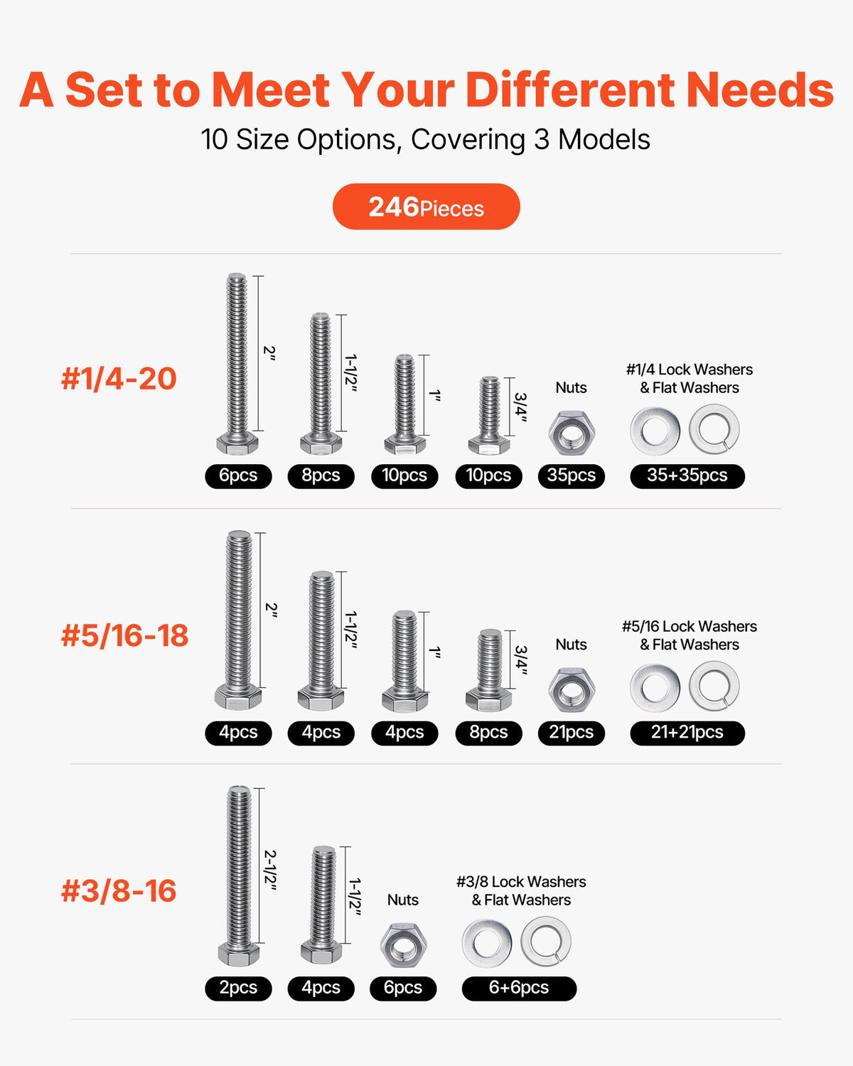 VEVOR 246 Pcs Bolts and Nuts Assortment Kit, Imperial Screws and Flat Washers, Stainless Steel 1/4-20,5/16-18,3/8-16, Spring Lock Washers for Furniture / Equipment /Vehicle Assembly with Case
