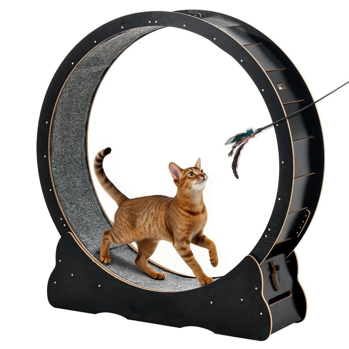 Cat Exercise Wheel, 120 cm Wooden Cat Running Wheel for Indoor Cats up to 12.7 kg, Cats Treadmill with Carpeted Runway &amp; Locking Mechanism, Quiet Kitten Sport Toys for Pets Fitness, Black