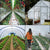 VEVOR Greenhouse Film, Greenhouse Polyethylene Film 12x25 ft Greenhouse Plastic
