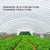 VEVOR Greenhouse Film, Greenhouse Polyethylene Film 20x28 ft Greenhouse Plastic