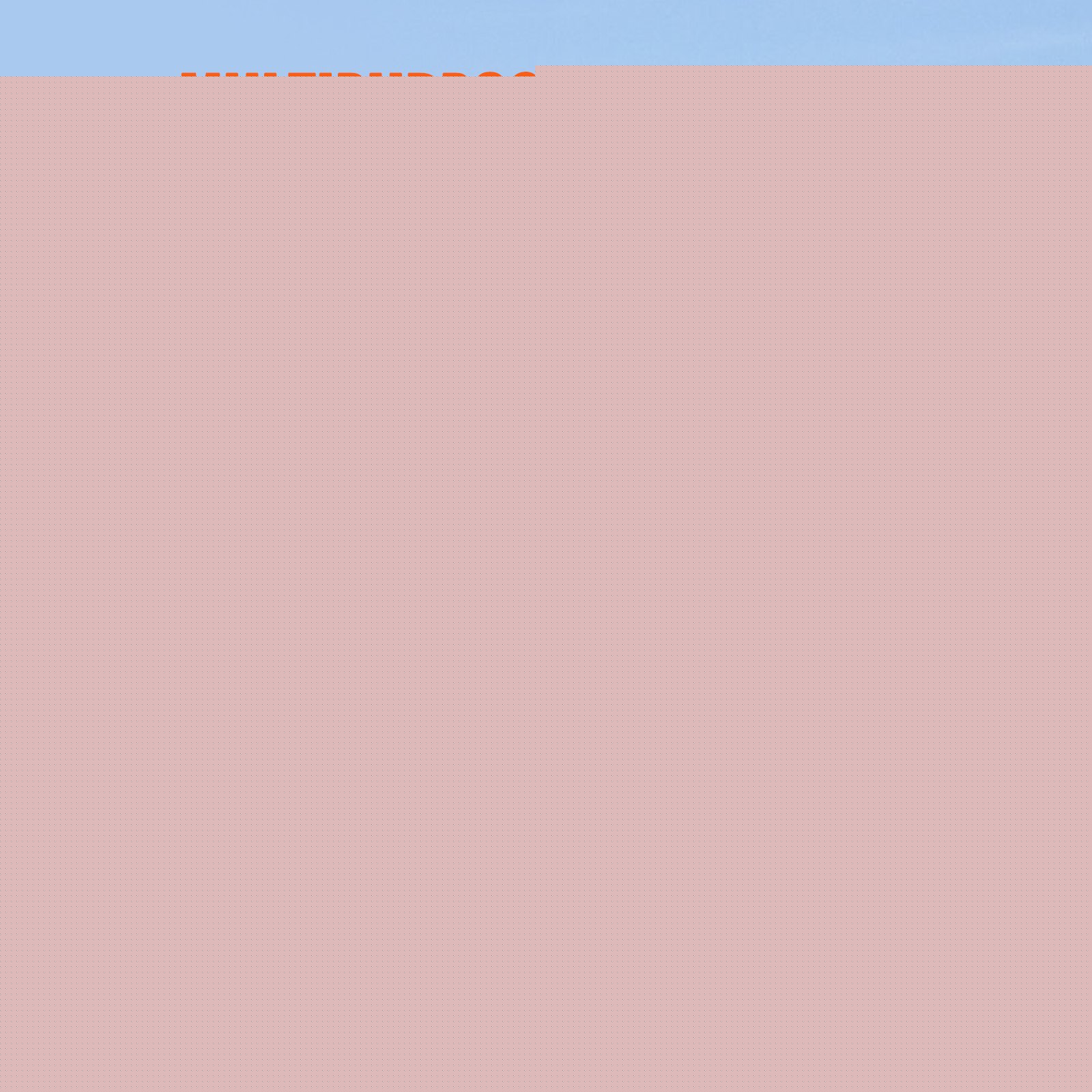 VEVOR Winch Straps, 10.2 cm x 9.1 m, 2.7T Load Capacity, 8.2T Break Strength, Truck Straps with Flat Hook, Flatbed Tie Downs Cargo Control for Trailers, Farms, Rescues, Tree Saver, Yellow (10 Pack)