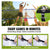 VEVOR Outdoor Portable Volleyball Net System, Adjustable Height Steel Poles, Professional Volleyball Set with PVC Volleyball, Pump, Carrying Bag, Heavy Duty Volleyball Net for Backyard, Beach, Lawn