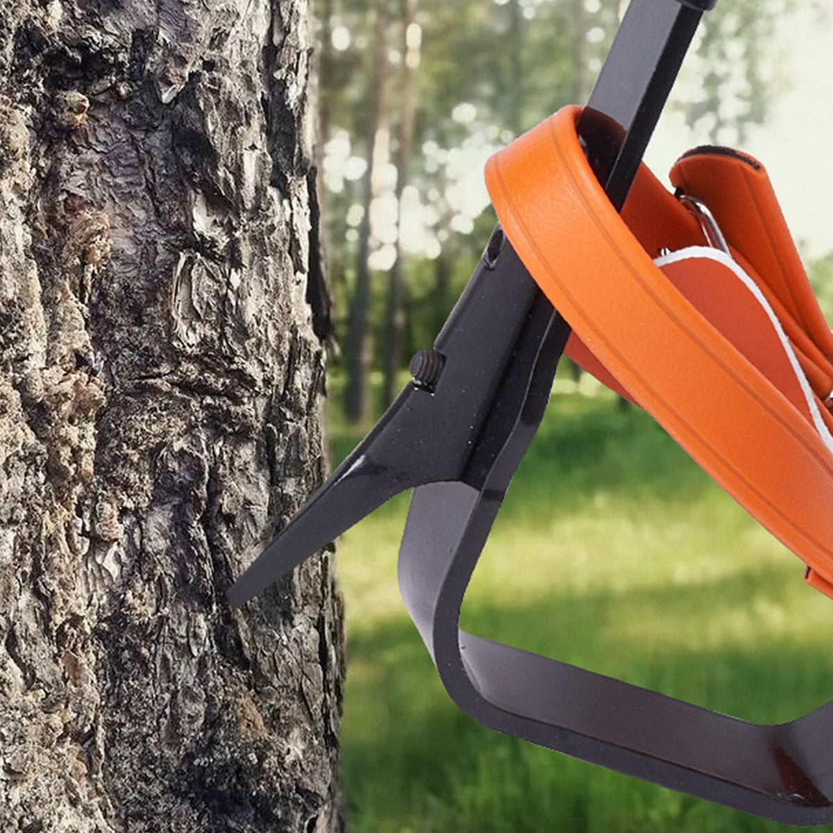 Tree Climbing Spikes Set, 1 Pair Alloy Steel Climbing Spurs with Safety Rope and Safety Harness, 350lbs Load Capacity Tree Climbing Gear, Arborist Equipment for Climbers, Fruit Picking, Orange