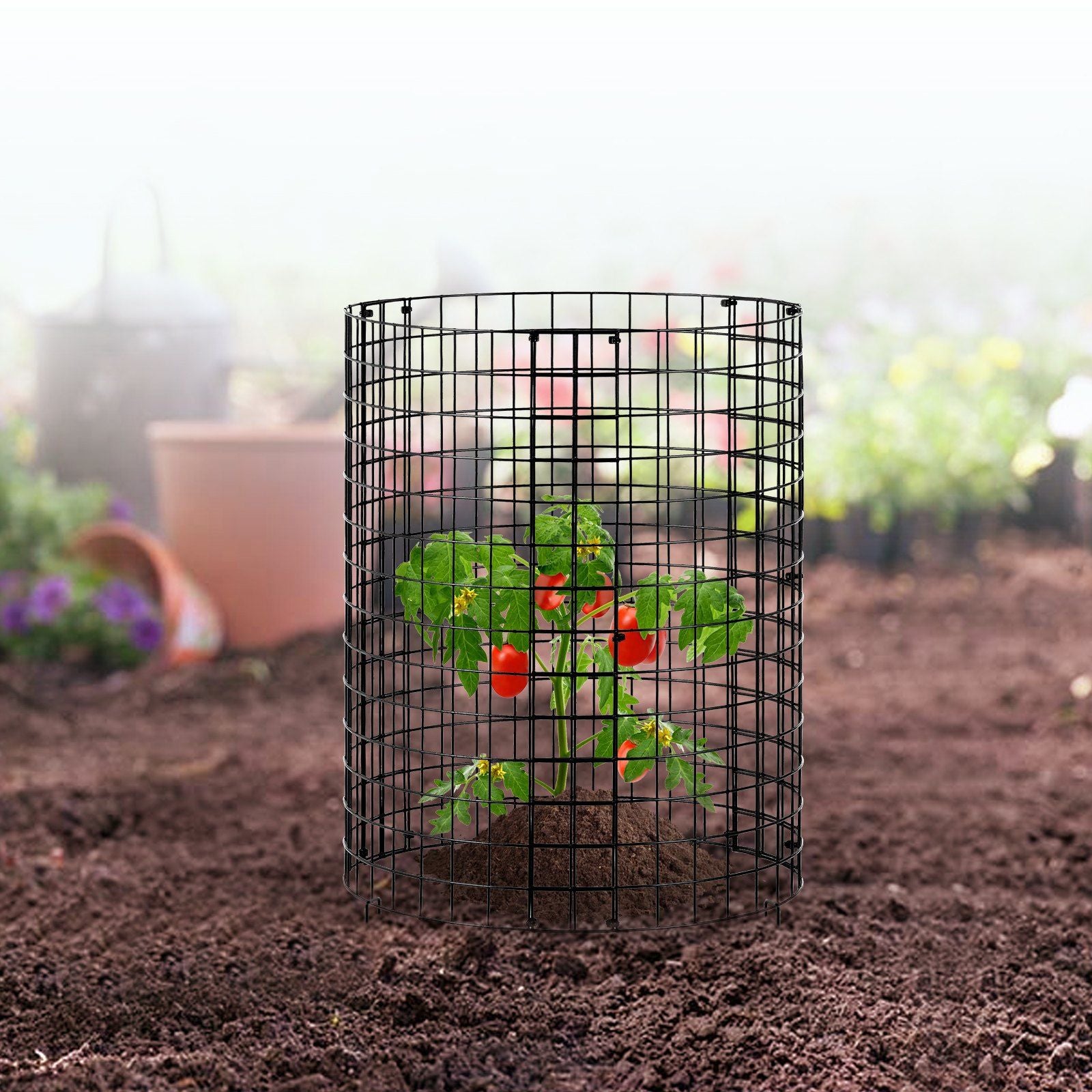 6 Pack Plant Protector from Animals, 320mm Dia. x 355mm H Chicken Wire Plant Protector, Plant Cages for Outdoor Plants, Flowers & Vegetables, Keeps Bunny Chicken Squirrels Out, 18pcs Metal Mesh