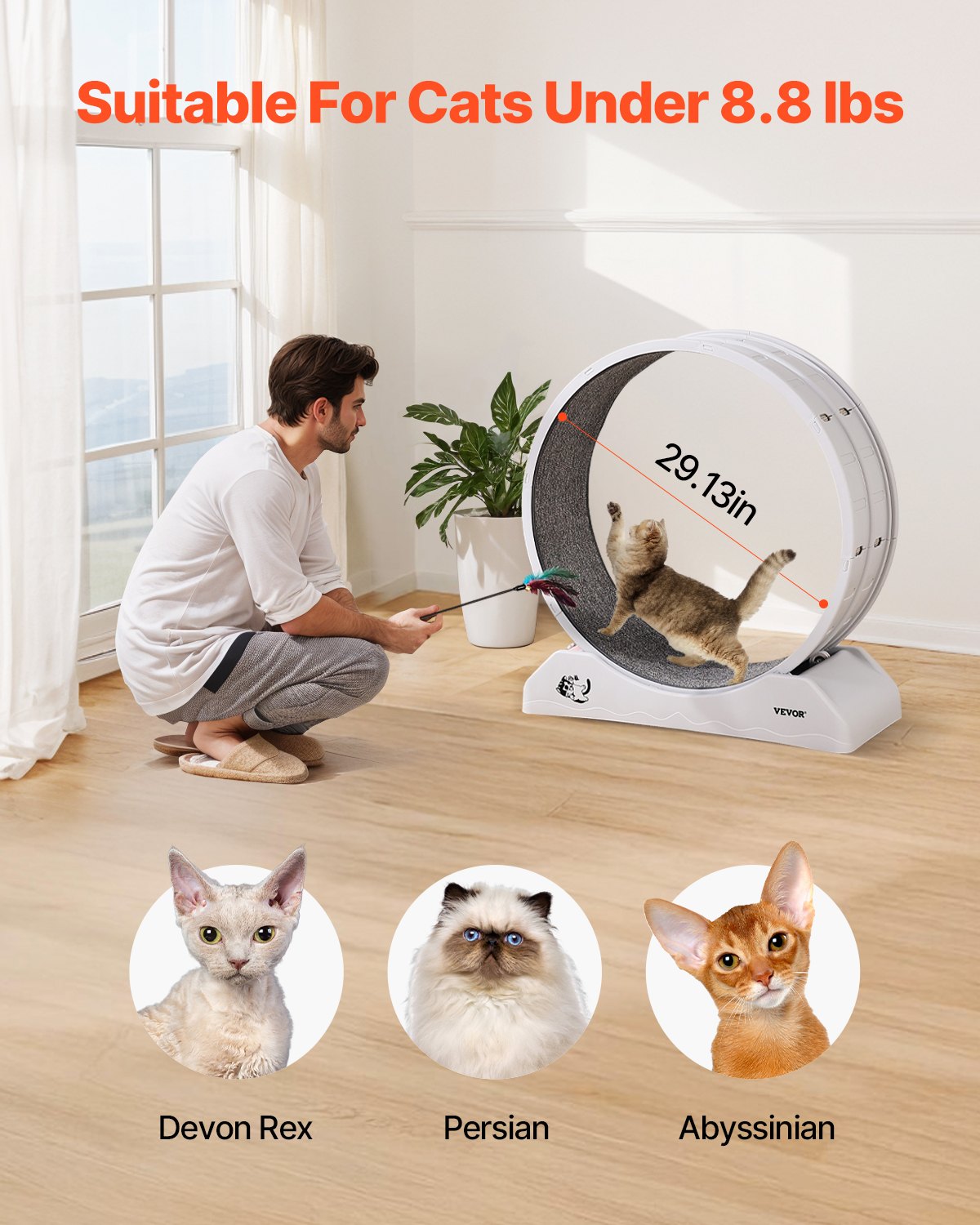 VEVOR Cat Exercise Wheel, 31.5 in, Large Cat Running Wheel with Secure Brake & Carpeted Runway, Quiet Operation Cat Treadmill, Indoor Cats Exerciser Wheel for Pets Weight Loss & Health White