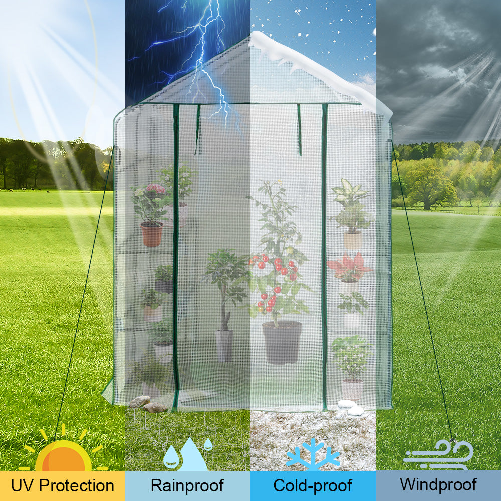 Greenhouse Walk-In Tunnel 3 Tier Planting Shelves 143x143x195cm Strong Stability with PE Cover Roll-up Zipper Door and Window for Outdoor Vegetable Plants