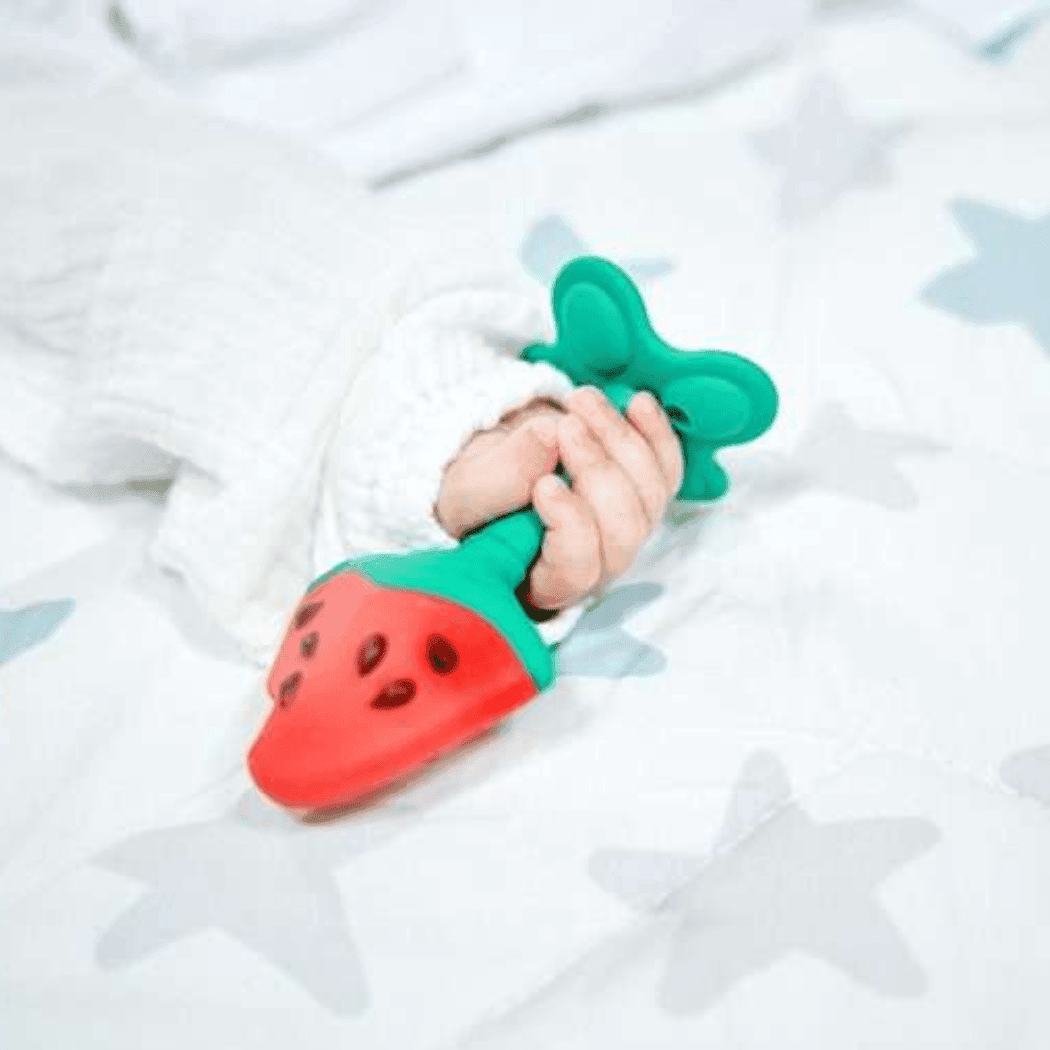 EDISON mama Kamikami Baby Teether 3D Watermelon-1954803102288842754