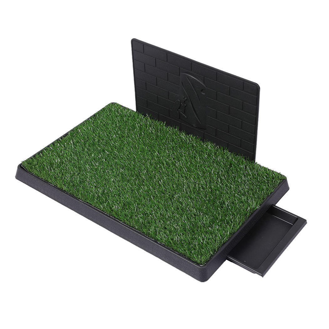 PaWz Indoor Dog Pet Grass Potty Training L-1954802530101891072