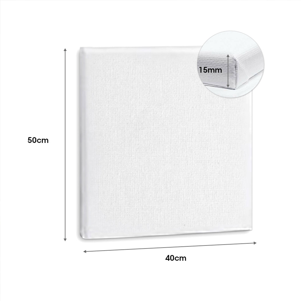 5x Artist Canvas Blank Stretched Canvases-1919892885440958466