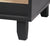 PaWz Enclosed Cat Litter Cabinet Box Black-1954802551970992131