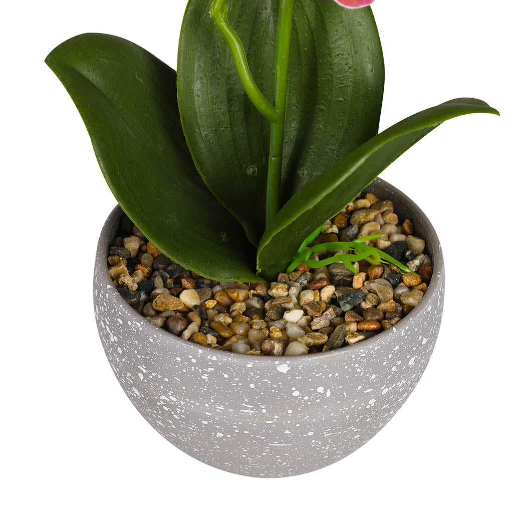 Lambu 6X Artificial Flowers Plant In-1910112531238752259