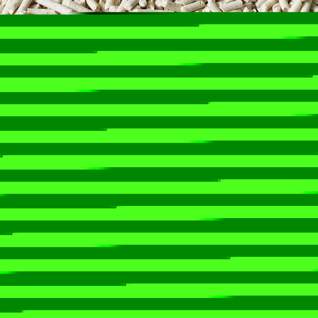 PaWz 2.5kg Tofu Cat Litter Clumping Natural x12-1954802394151915524