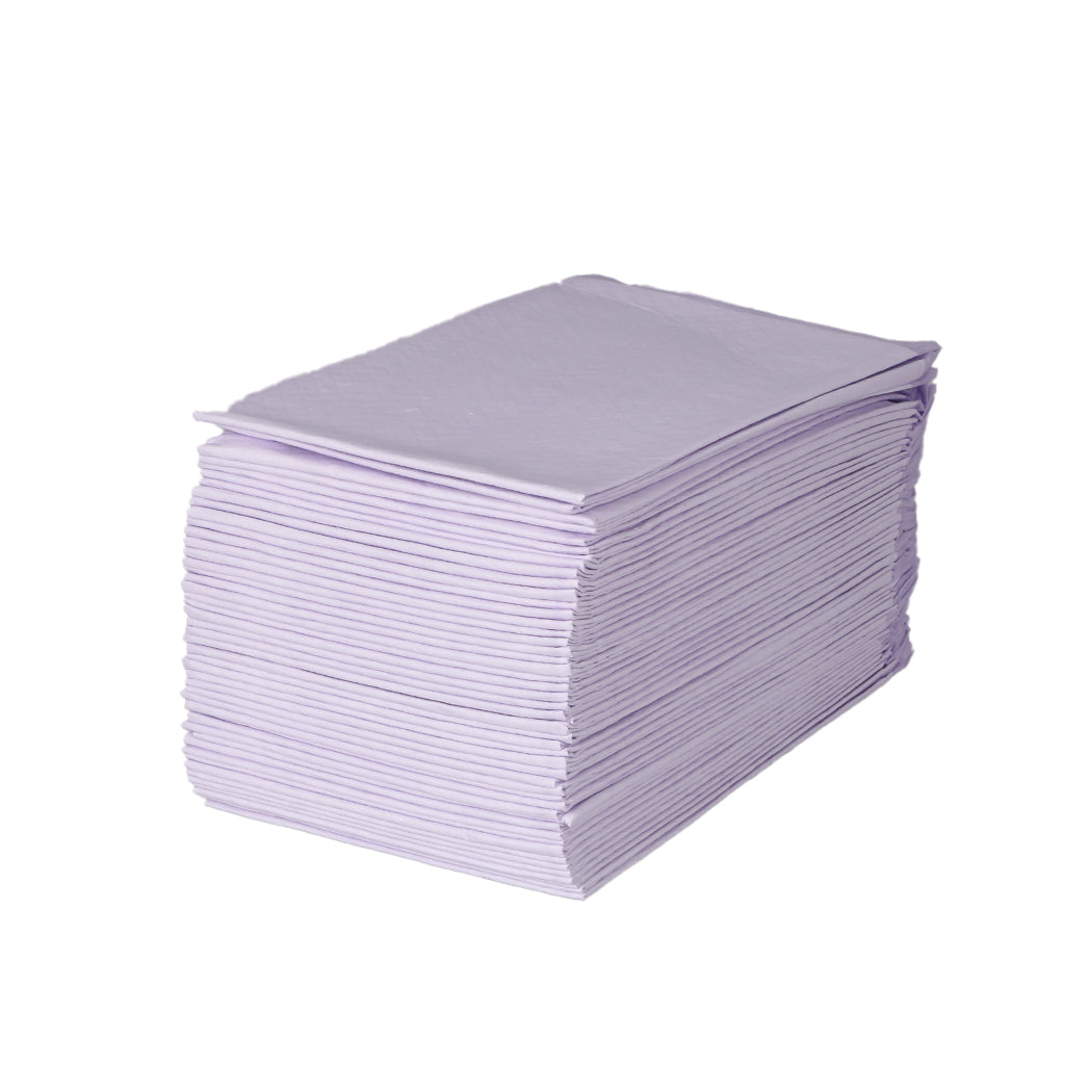 PaWz 200x Pet Dog Toilet Training Pad-1954802567473139716