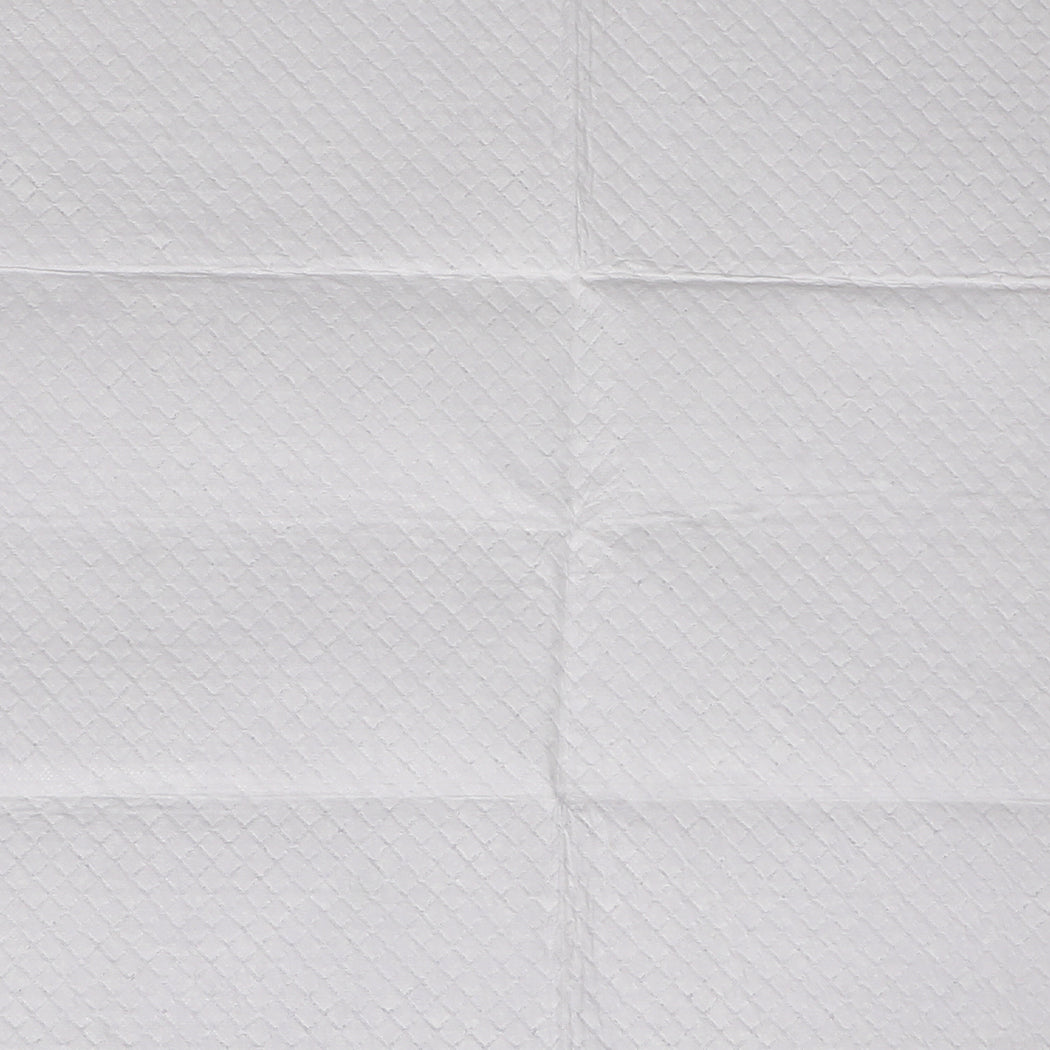 PaWz 200x Pet Dog Toilet Training Pad-1954802567473139717