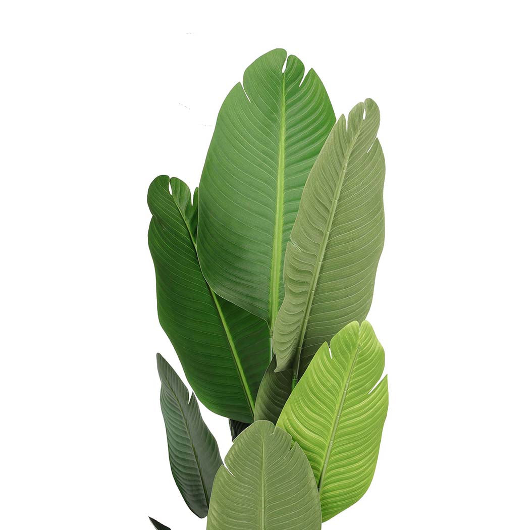 Lambu 160cm Artificial Plants Tree Room-1910112312707125253