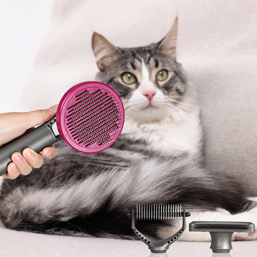 PaWz Pet Grooming Tools-1954802574871891974