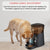 Floofi Automatic Smart Pet Feeder 6L - Black