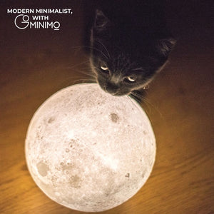 GOMINIMO Magnetic Levitating 3D Moon Lamp - Dark Brown