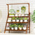 GOMINIMO Bamboo Plant Stand 3 Tier Dark Brown