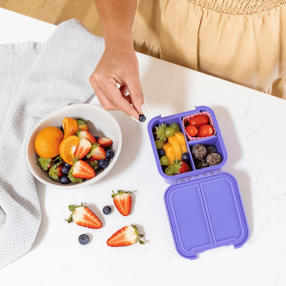 Little Lunch Box Co Bento Two Blueberry-1954803062069661698